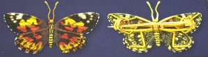 giuliano-butterfly